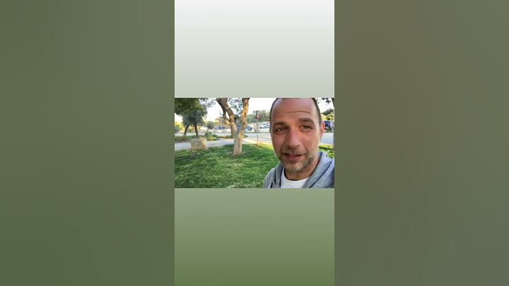 Cyprus School of Dog Training - Παιχνίδι για σκύλους