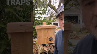How To Catch Bees In A Bait Hive Swarm Trap.