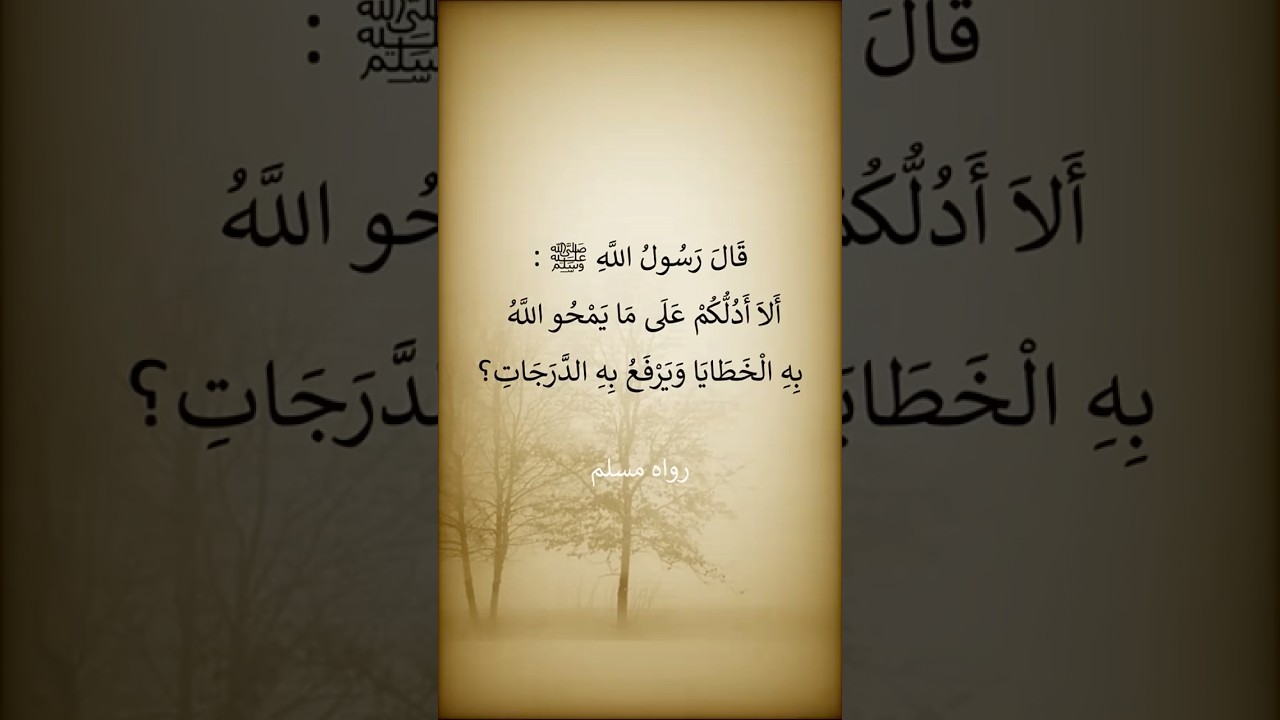 ألا أدُلُّكُم على ما يَمحو اللهُ به الخَطايا، ويَرفَعُ به الدَّرَجات