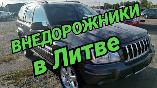 Внедорожники в Литве. Обзор цен на кроссоверы и джипы на рынке.