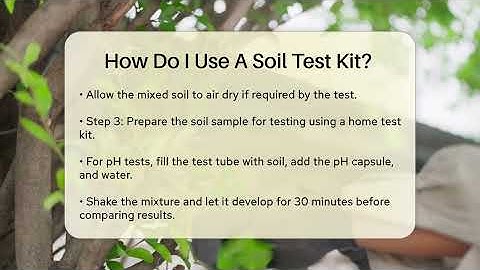 How Do I Use A Soil Test Kit? - The Plant Enthusiast