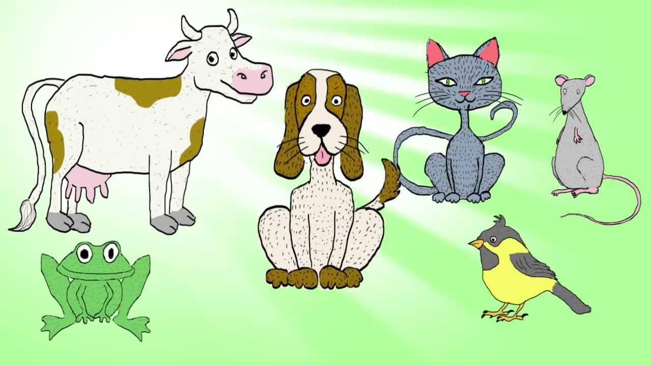 "Counting Animals Song" for children Teach kids to Count