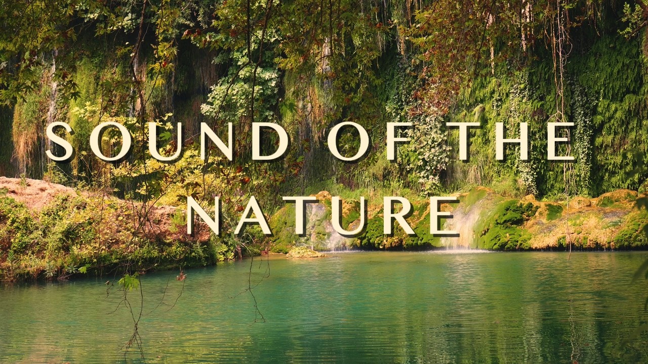 The Calm You’ve Been Looking For. Deep Relaxing Music