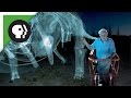 360 degree video: Dinosaur Giant with David Attenborough!