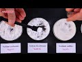 Chemistry - 3Sec - The detection of bicarbonate anions