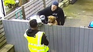 Dog SHOCKS Delivery Driver FUNNIEST Pets Caught on CCTV 🤣 by MAI PM 181,777 views 4 weeks ago 10 minutes, 2 seconds