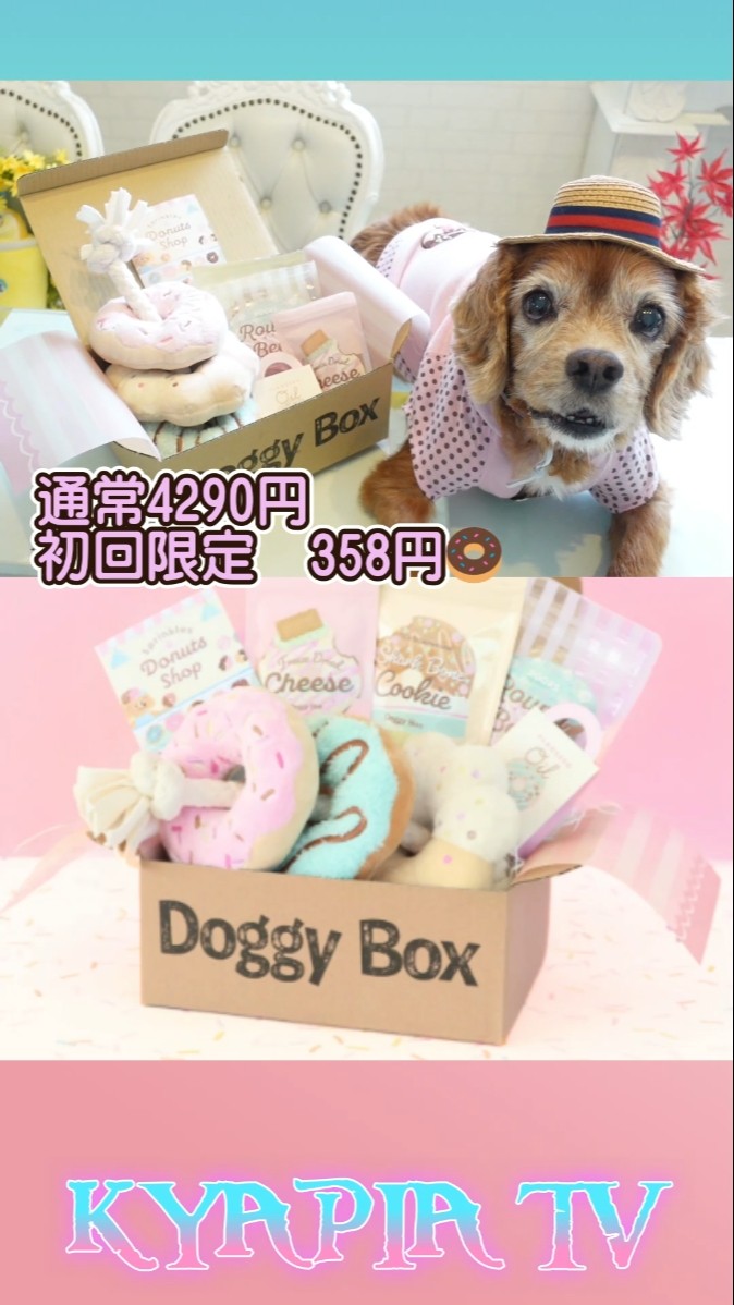 Doggy Box - A toy and treat set that will delight both owners and