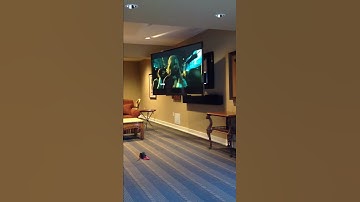 Future Automation XL motorized wall mount.