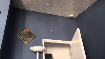 Cat Laser Toy with Raspberry Pi