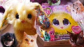 Unboxing Scruff A Luvs Blossom Bunnies