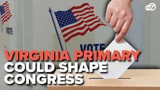 Election Day in Virginia: Senate, House and local races on the ballot