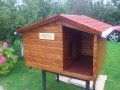 Diy for dog house
 