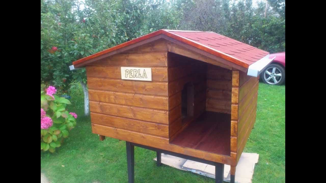 Buda Dla Psa Po Angielsku Buda dla psa- budowa krok po kroku - YouTube