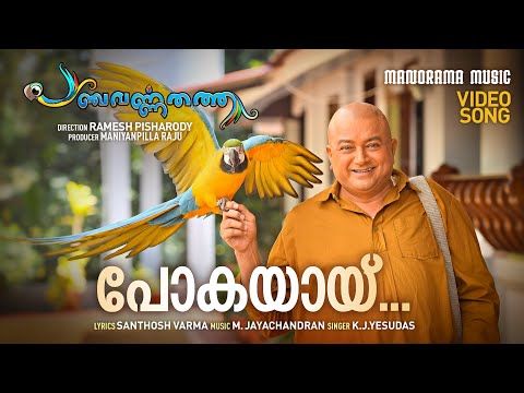 Pokayayi | Panchavarna Thatha | Video Song | K.J.Yesudas | Santhosh Varma | M.Jayachandran