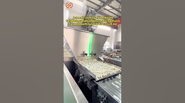 Automatic capsule counting and packaging machine# #countingmachine#automaticcounting #capsulefilling