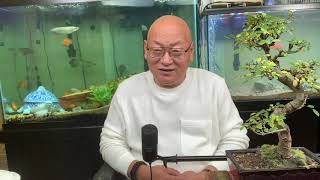 理想国事实上并不存在:流氓是有地域性的!(20201011第1561期)