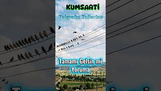 Telgrafın Tellerine 2026 Kumsaati̇ Harika Yorum