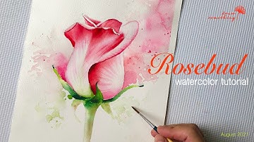 Cách vẽ hoa hồng bằng màu nước siêu đơn giản/ Watercolor rosebud tutorial for beginner