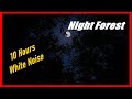 Forest Sounds at Night for Sleeping, 10 Hours White Noise Nature Sound