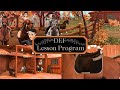 The Official DEF Lesson Program || Star Stable Online RRP