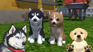 Dog Simulator - Animal Life - Finding A Mate - Android / iOS - Gameplay Part 1 screenshot 2