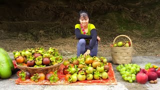 Harvesting Sour Fruit (Garcinia Cowa) Goes To Market Sell - Grow Eggplant | Phuong Daily Harvesting