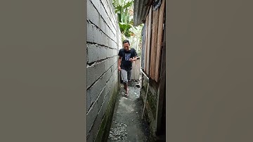 LAGU INDIA #hiburan #palusulteng #komedi #india #wc