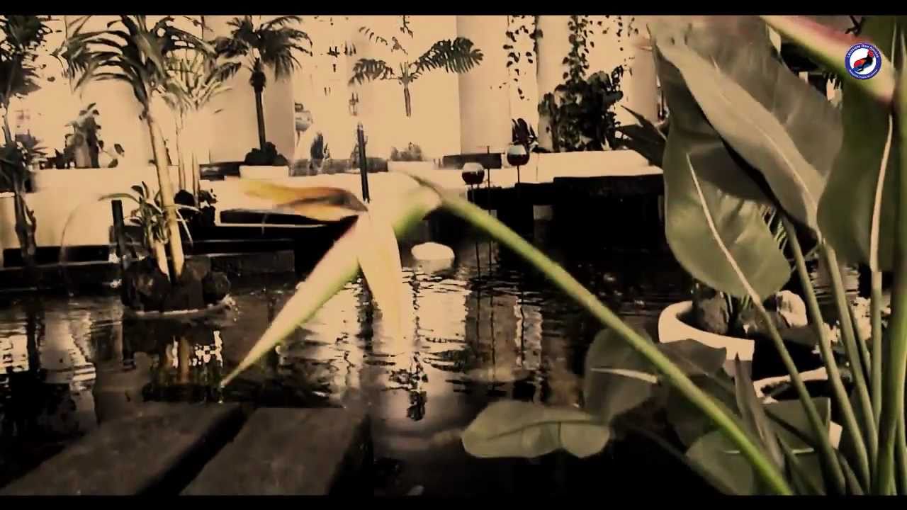 Lanzarote Adventure Diving, Trailer (HD)