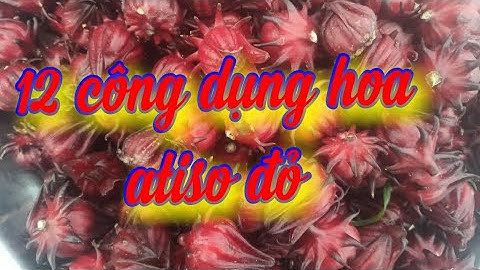 12 công dụng hoa atiso đỏ