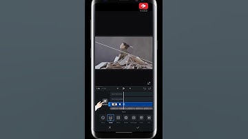 Ghost Effect VN video Editor Tutorial 🔥🔥 #shorts