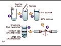 Centrifugation