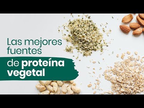 🌱Las mejores fuentes