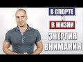 Энергия Внимания "В Спорте и в Жизни"