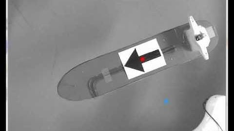 Cybership - Dynamic Positioning (Station Keeping)