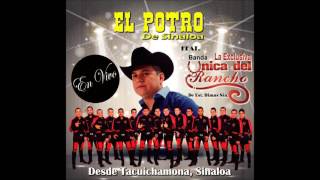 El Potro de Sinaloa ft Banda la Unica del Rancho en vivo 2016 + Link de descarga MF