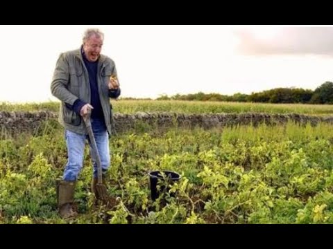 Video: Jeremy Clarkson: Biografija, Karijera I Lični život