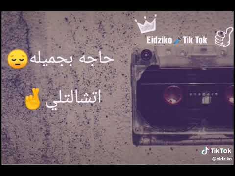 كلمه شكر تامر عاشور