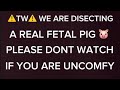hey guys ⚠️viewer discretion is advised!! ⚠️