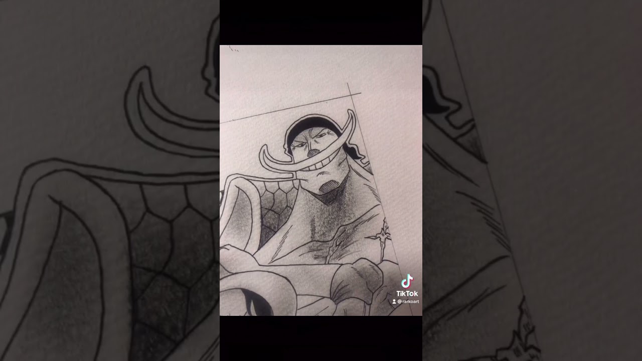 Art イラスト かっこいい ワンピース Onepiece エース 白ひげ ニューゲート アニメ Youtube