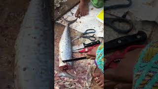 Head Cut Fish in Fish Fair💥