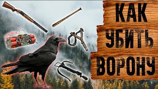 Охота на ворон! | Crow hunt! (КАК, КОГДА, ЧЕМ?) Зачем убивать ворон?