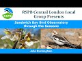 Sandwich bay bird observatory through the seasons by john buckingham