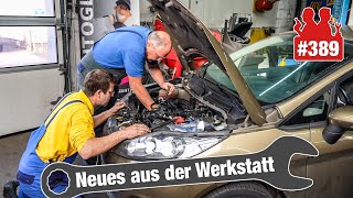 Fiesta mit zu hoher Leerlauf-Drehzahl - Live-Diagnose! | Schon 1000€ ausgegeben: Mazda-AGR-Probleme?