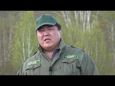 20 летию нацпарка