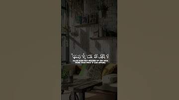 تلاوة هادئة 🕊️ استمع وارح بالك 🎧#quran #قرآن #الشيخ_الشريم