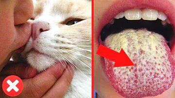 ПОЧЕМУ НЕЛЬЗЯ ЦЕЛОВАТЬ КОШЕК?