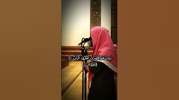 الشيخ محمد اللحيدان،قرآن كريم #قران_كريم #اكسبلور #quranforeever #دويتو #لايك #تيك_توك  #حديث_صحيح