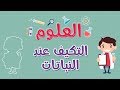 العلوم التكيف عند النباتات 
