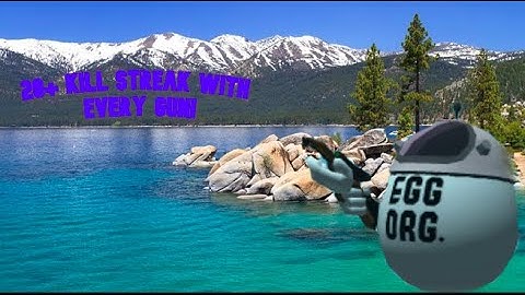 20+ Kill Streak with every gun | Shell Shockers