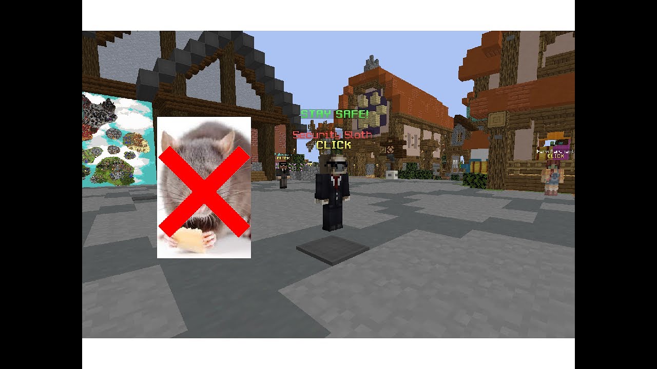 The Admins Finally did something about Ratters (Hypixel Skyblock) - YouTube